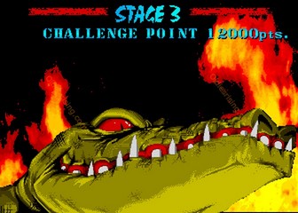 image de The First Funky Fighter